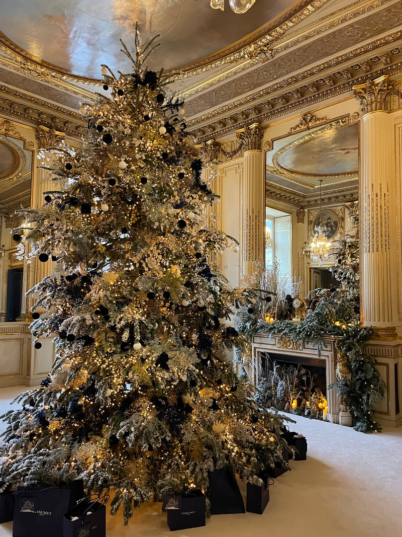 CHAUMET (DECEMBRE 2021) DEBEAULIEU