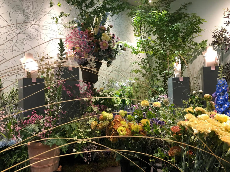 CHAUMET - Carte blanche - Pop-up Store Ginza, TOKYO (Juin 2018) DEBEAULIEU