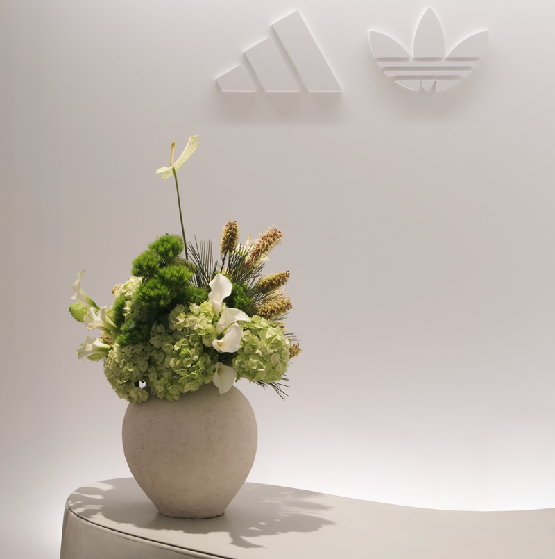 ADIDAS DEBEAULIEU