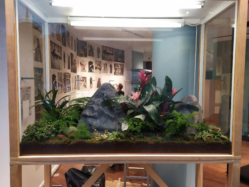 KENZO - TERRARIUMS (NOVEMBRE 2020) DEBEAULIEU