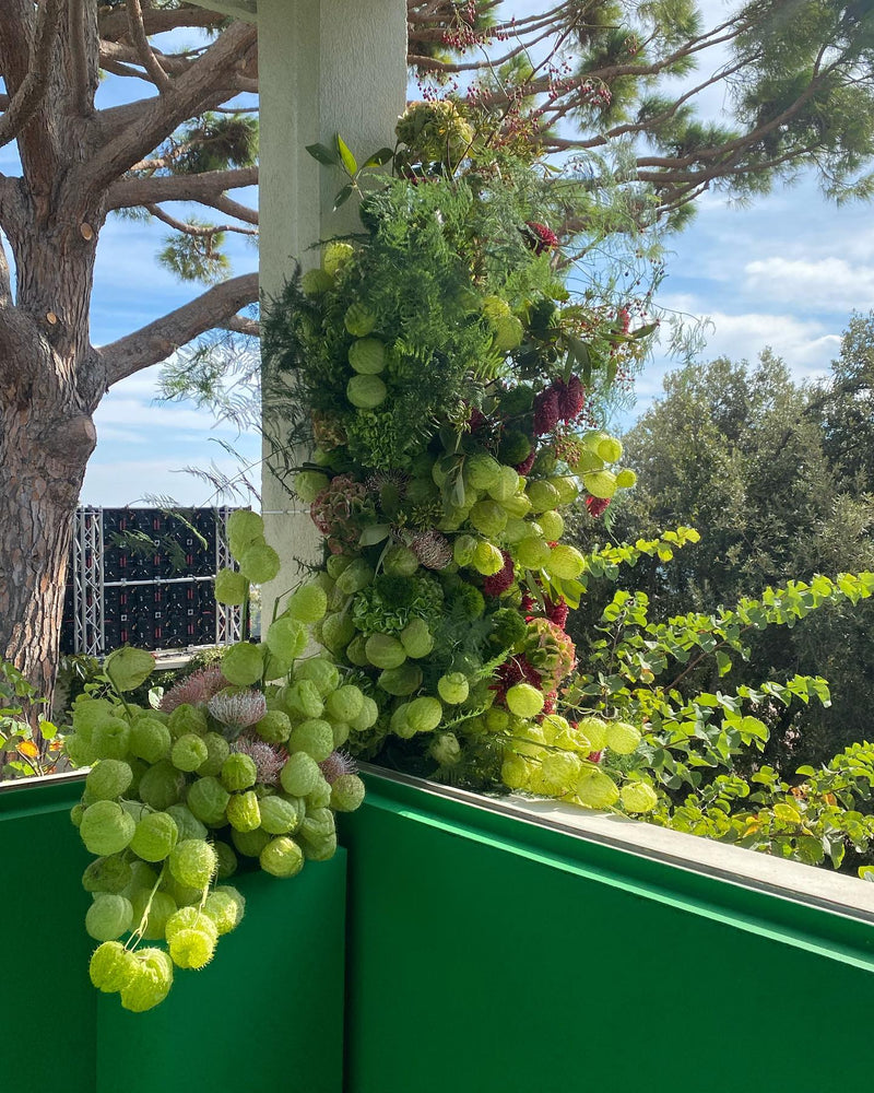 VILLA NOAILLES, HYERES (OCTOBRE 2022) DEBEAULIEU