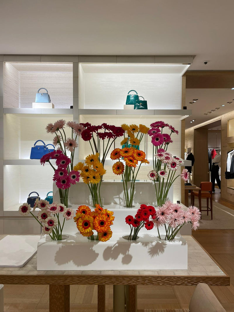 LOUIS VUITTON x MURAKAMI DEBEAULIEU