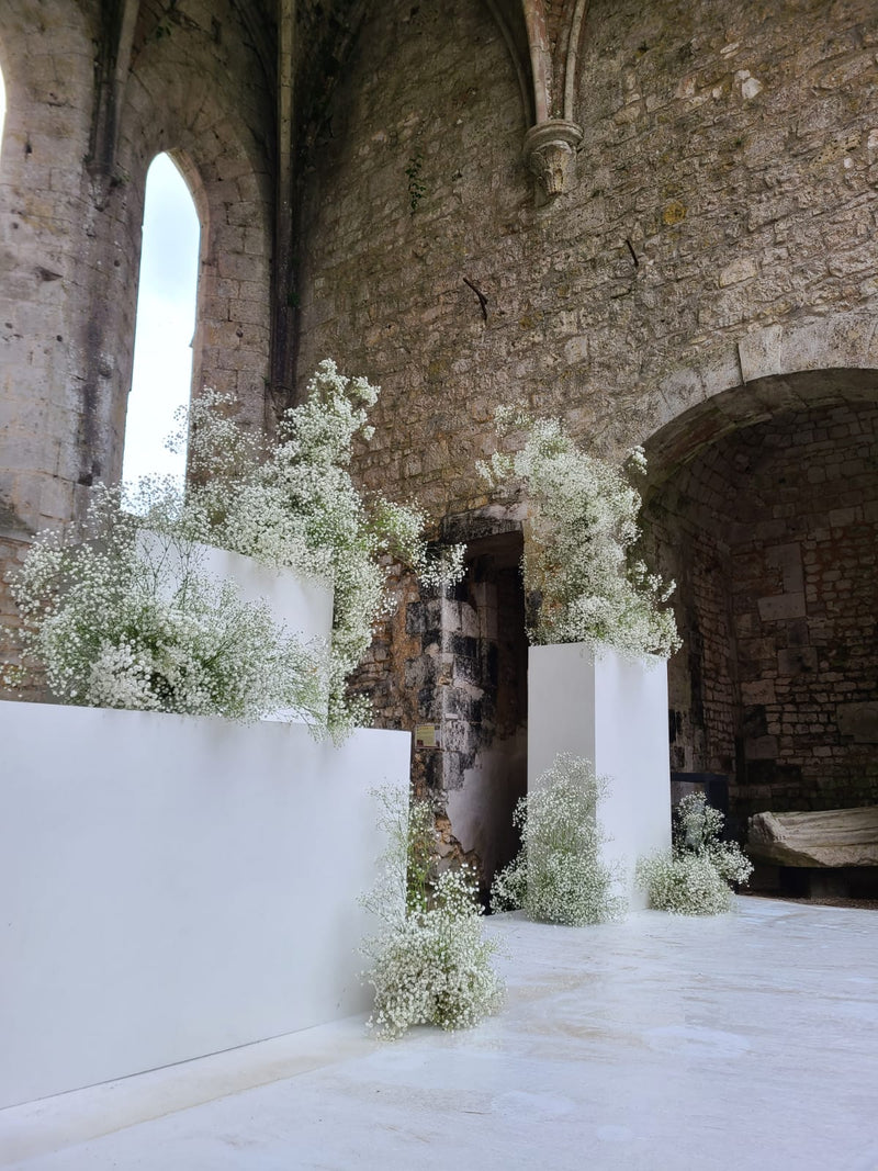 MARIAGE DEBEAULIEU
