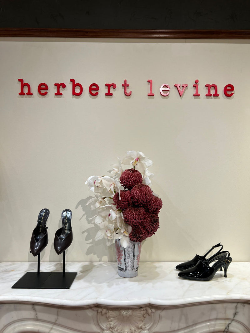 HERBERT LEVINE DEBEAULIEU
