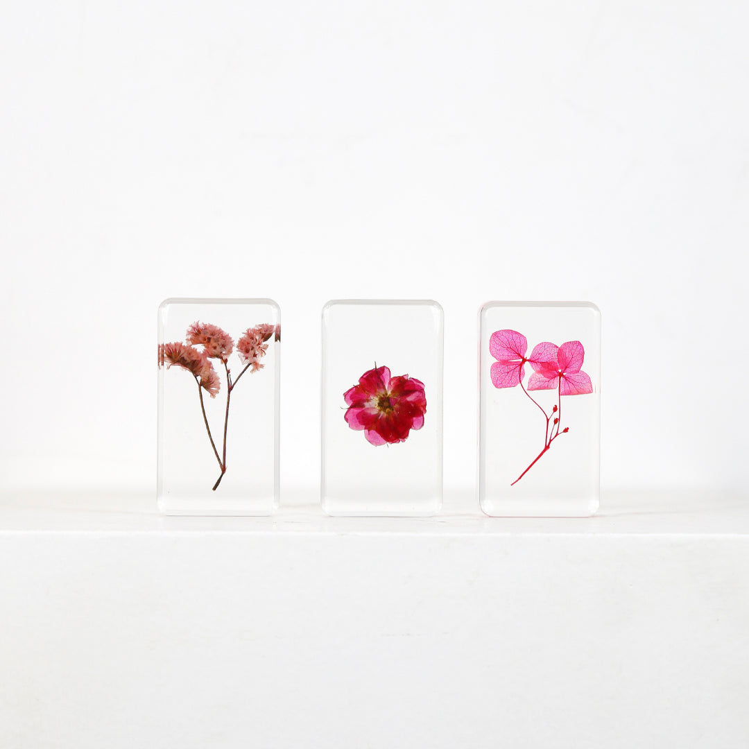 Inclusions Fleurs séchées