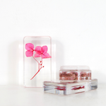 Hortensia Fuchsia