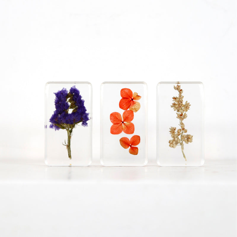 Inclusion Dried Flowers