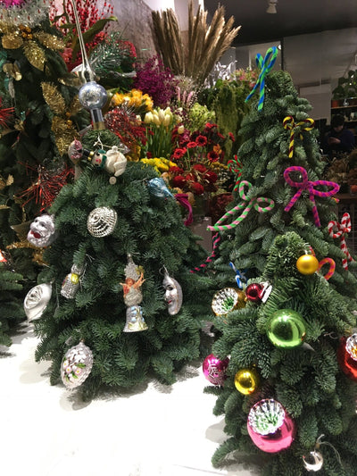 NOEL 2018