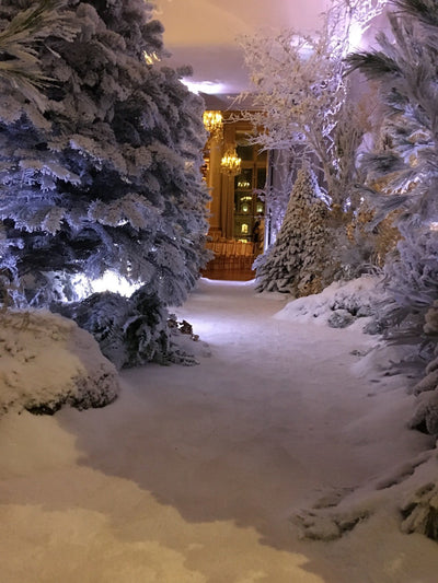 CHAUMET Noël (Dec 2018)