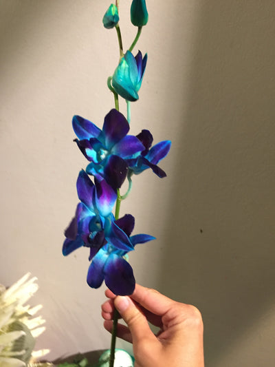 BALENCIAGA, VOIR LA VIE EN BLEU