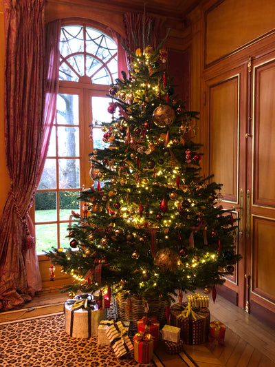 CHRISTMAS IN PARIS (DECEMBER 19)