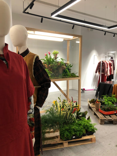KENZO, TERRARIUM
