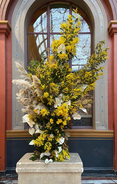 VILLA NOAILLES, MIMOSA XXXL