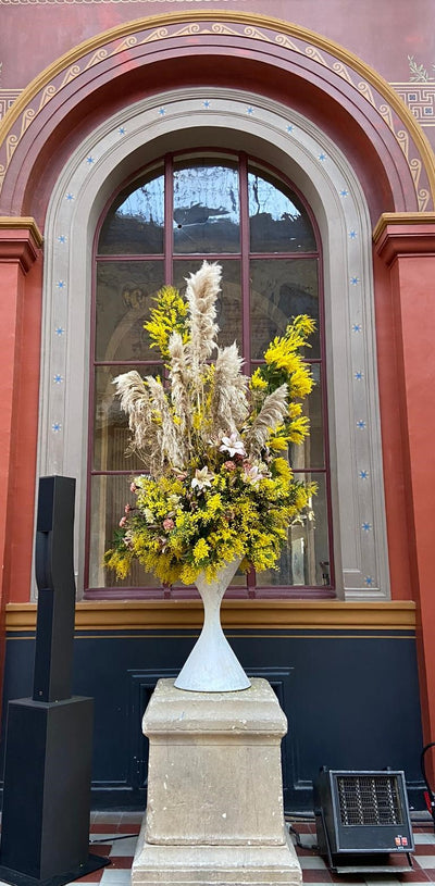 VILLA NOAILLES, MIMOSA XXXL