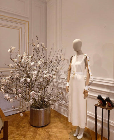 SCHIAPARELLI