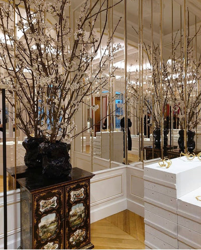SCHIAPARELLI